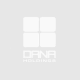 Dana Holdings Dana Holdings